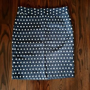 Polka Dot Navy Skirt